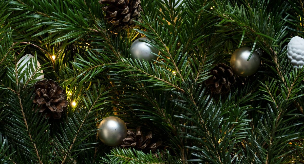 Season’s Greetings from AAA Sales & Management